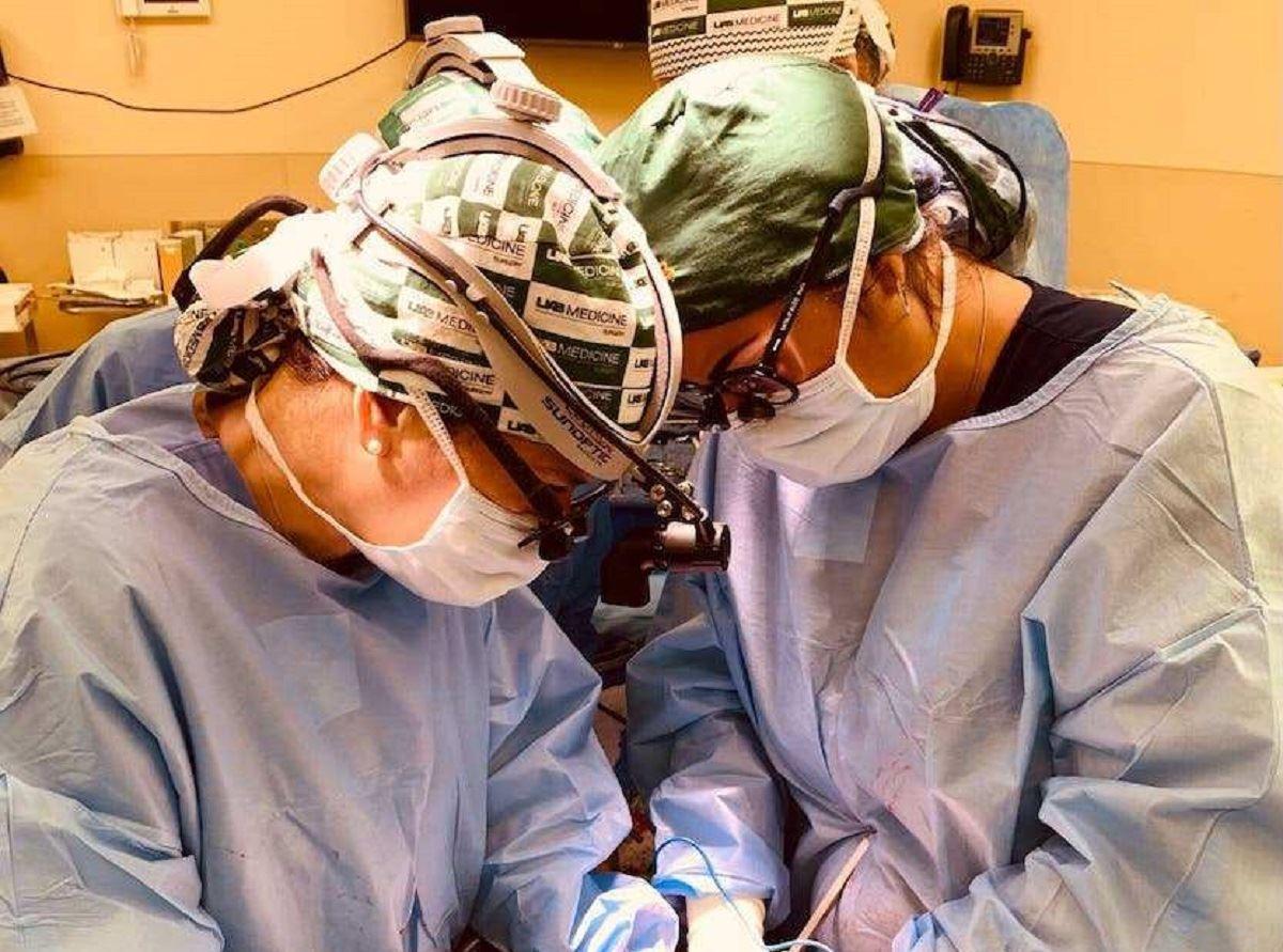 دومین پیوند اعضای بدن خوک به انسان‌