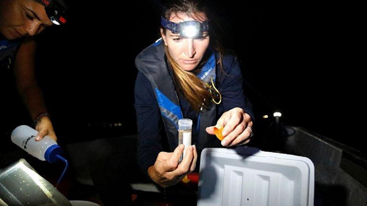 افزایش تعداد دانشمندان و مهندسان زن در اتحادیه اروپا