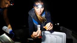 افزایش تعداد دانشمندان و مهندسان زن در اتحادیه اروپا