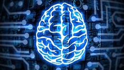 مغز انسان قبل و بعد از سفر به فضا چه تغییری می‌کند؟