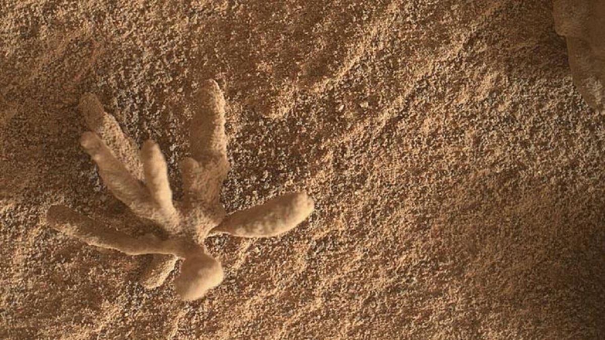 کشف شی عجیب در سطح مریخ توسط کاوشگر کنجکاوی