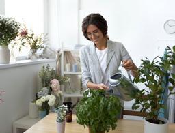 کاهش آلودگی هوا تا 20 درصد با پنج گیاه خانگی در دفتر کار