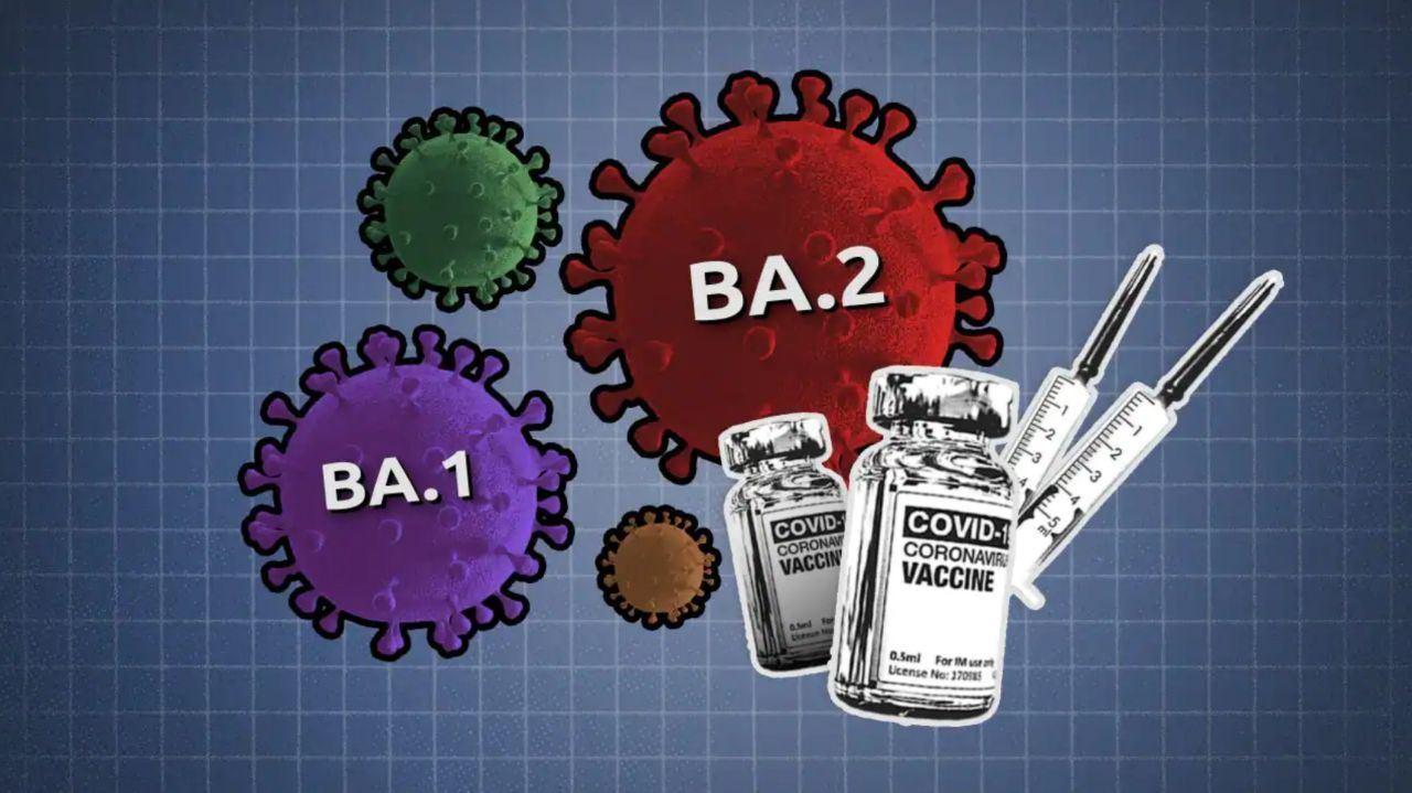 99درصد کرونایی‌های جهان مبتلا به واریانت امیکرون