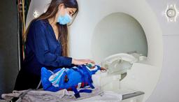 تاثیر فقر بر کوچک بودن مغز نوزادان