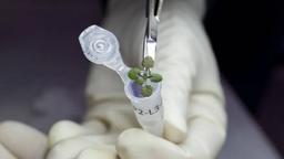  پرورش موفق گیاه در خاک ماه