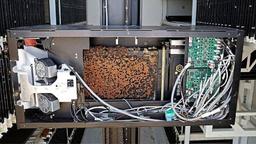 تولید عسل با هوش مصنوعی در اسرائیل