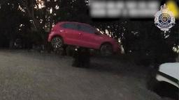 مرد استرالیایی با لیفتراک مانع سرقت خودرو خود شد