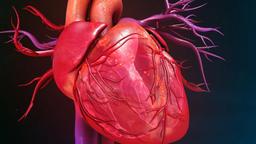 بازسازی سلول‌های قلب با روش درمانی mRNA