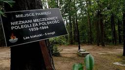 کشف یک گور با اجساد هشت هزار نفر در اردوگاه نازی‌ها در لهستان