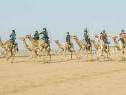 شترسوار ایرانی نفر دوم مسابقات شتردوانی زنان در عربستان شد