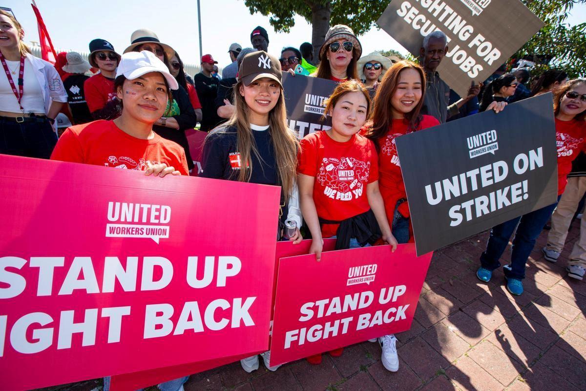 احتمال کمبود مرغ در بازار استرالیا به دنبال اعتصاب کارگران