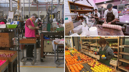 کاهش نرخ بیکاری طی ماه سپتامبر به 3.6 درصد در استرالیا