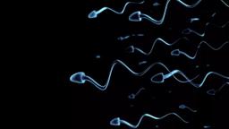 تکنیک تازه دانشمندان استرالیایی برای تسریع حرکت اسپرم‌های تنبل