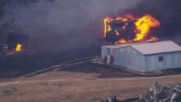 احتمال افزایش خسارات ناشی از آتش‌سوزی جنگل در ایالت ویکتوریا