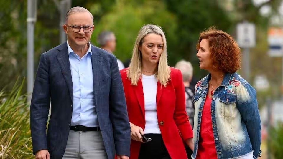 پیش‌بینی آنتونی آلبانیز درست از آب درآمد!