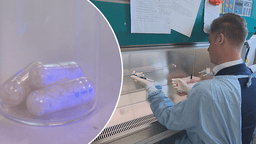 محققان استرالیا: قرص انسولین درآینده جایگزین آمپول انسولین می‌شود