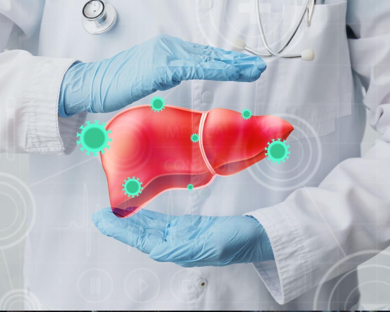 گیاه‌خواری، حتی برای یک وعده غذایی برای کبد چرب مفید است