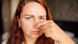 شیوه‌‌های برخورد با مزاحمت همسایه و حیوانات خانگی آن‌ها در استرالیا