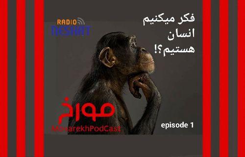 مورخ با صدای احمد هاشمی/ فکر میکنیم انسان هستیم ؟ ! / تاریخ بیش از آنکه علم باشد یک هنر است هنر کنار هم گذاشتن شواهد