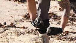 زباله‌های توپی شکل در سواحل سیدنی چیزی جز "گلوله‌های نفتی" نبودند