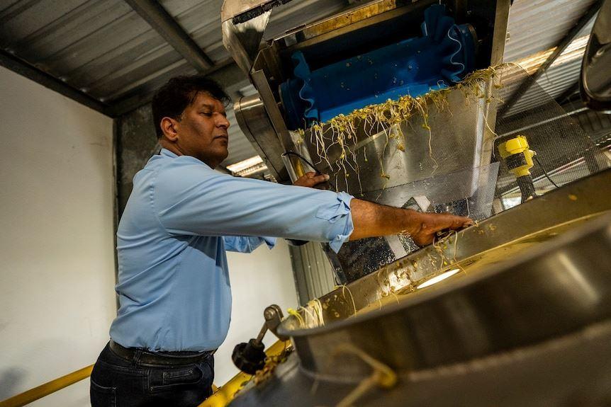 تولید کمپوست فاقد مواد شیمیایی در استرالیا توسط مخترع ایرانی تبار