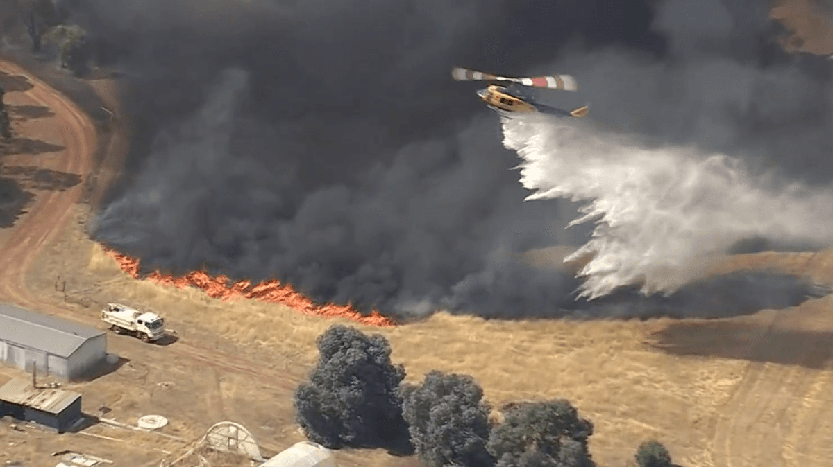 آتش‌سوزی گسترده جنگل در بخش شرقی پرت