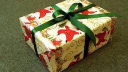 مادر خوش‌شانس در ویکتوریا با کادو کریسمس پسرش، 2.14 میلیون دلار برنده شد!