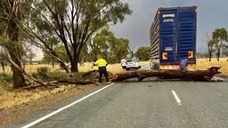 طوفان مرگبار در ایالت نیوساوت ولز جان یک نفر را گرفت