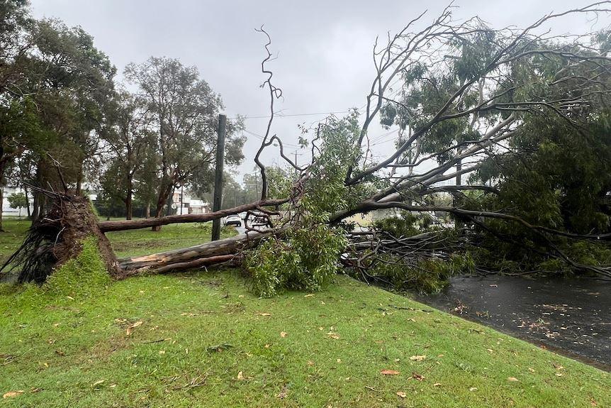 خطر طوفان گرمسیری آلفرد، برطرف نشده است