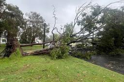 خطر طوفان گرمسیری آلفرد، برطرف نشده است