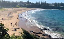 کشف بسته‌های اسکناس 100 دلاری شناور در سواحل نیوساوت ولز