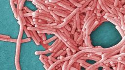 بیماری لژیونر در مرکز تجاری سیدنی یک قربانی گرفت