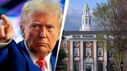 دولت ترامپ مجوز پذیرش دانشجویان خارجی در دانشگاه هاروارد را لغو کرد