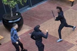 قمه‌کشی و وحشت در مرکز خرید نورث‌لند ملبورن؛ سه نفر بازداشت و یک جوان زخمی شد