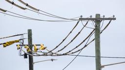 افزایش ناگهانی قبوض برق تا ۲۲۸ دلار؛ شوک جدید به خانوارها در سه ایالت استرالیا