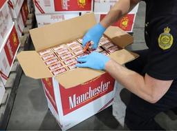 تاکید بر همکاری سازمان‌ها و نهادهای استرالیایی برای برخورد با مجرمان در روز جهانی بدون دخانیات