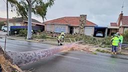 هشدار ورود سامانه‌های هوای سرد و وزش بادهای سهمگین در مناطق ساحلی و مرکزی استرالیا