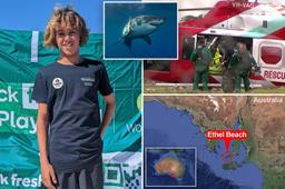 نجات معجزه‌آسای نوجوان ۱۶ ساله از حمله هولناک کوسه ۲ متری در نیوساوت‌ولز