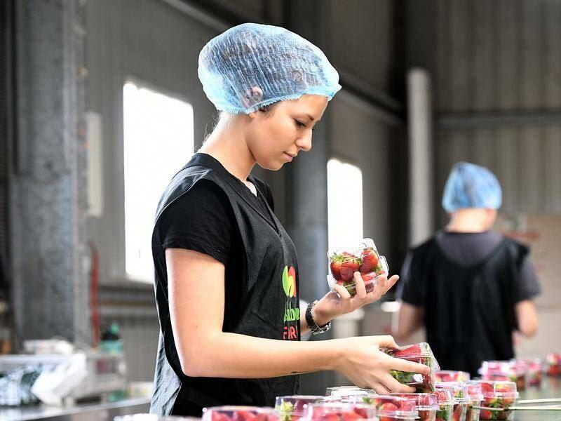 نرخ‌های پاداش و اضافه‌کاری کارگران استرالیایی قانونمند می‌شود