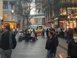 شناسایی سویه بسیار نادر آبله میمون در کوئینزلند؛ دومین مورد در تاریخ استرالیا