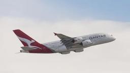 فروش گسترده بلیت‌های پرواز شرکت‌های بزرگ هواپیمایی استرالیا آغاز شد