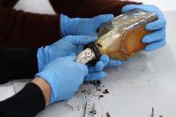 راز ۱۲۲ ساله فاش شد؛ کشف بطری حاوی نامه از دل دیوار فانوس دریایی در ایالت تاسمانی!