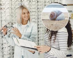 امید به درمان نابینایی؛ حلزونی که چشم‌هایش را بازسازی می‌کند، انسان هم می‌تواند؟