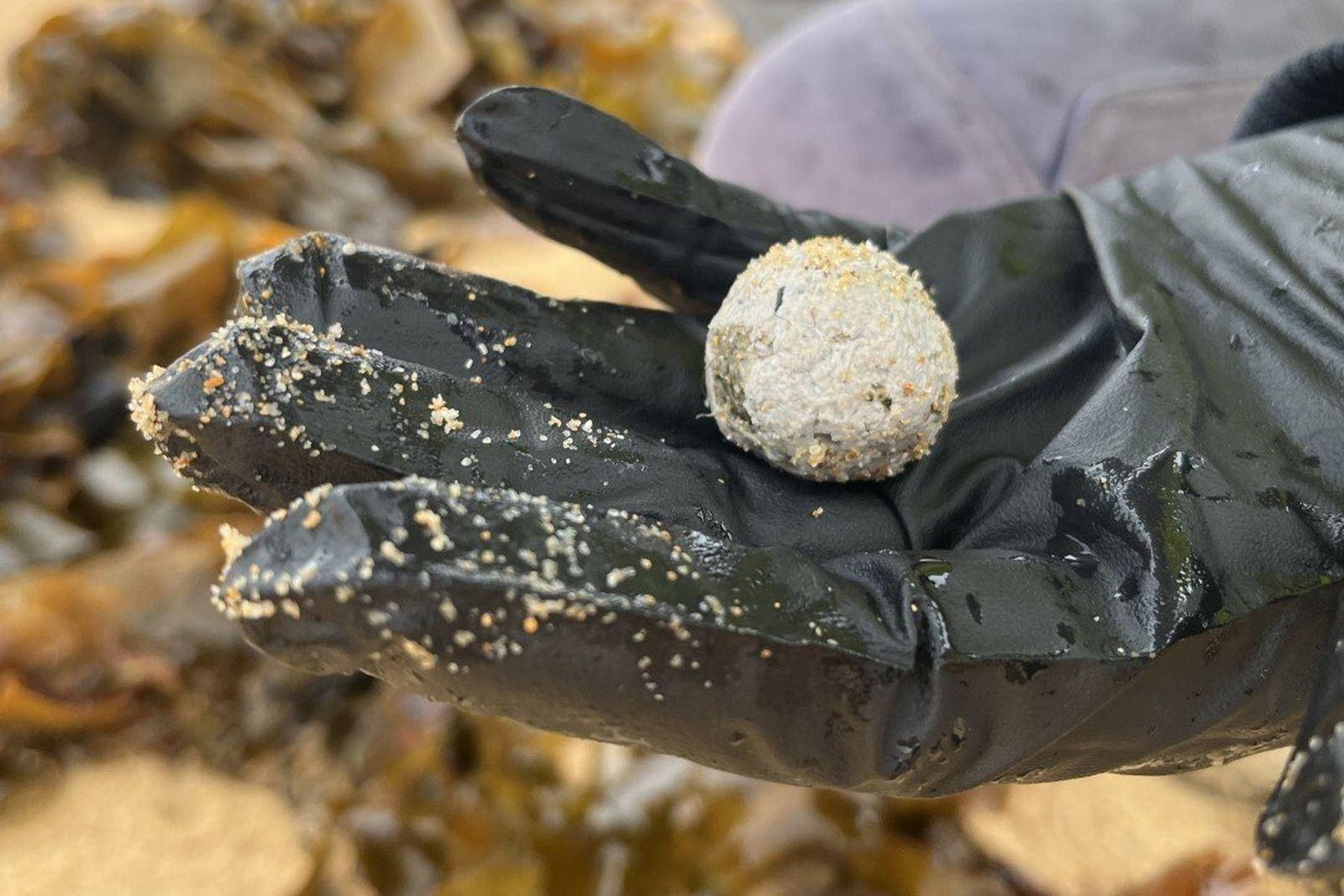 بازگشت گلوله‌های زباله مرموز به سواحل نیوساوت‌ولز: ابهام در منشأ و نگرانی از آلودگی 