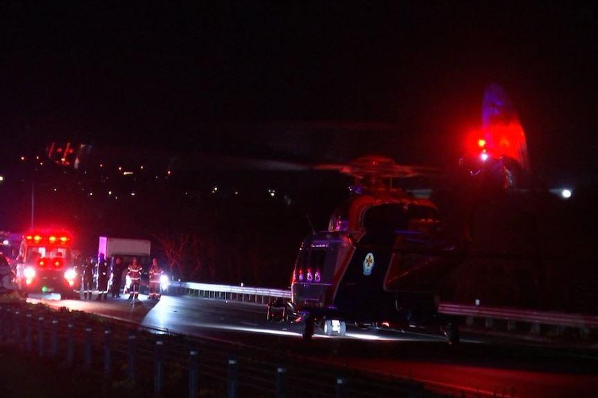 حادثه دلخراش در ملبورن: دو زن حین کمک به کانگورو زخمی، کشته شدند