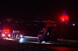 حادثه دلخراش در ملبورن: دو زن حین کمک به کانگورو زخمی، کشته شدند