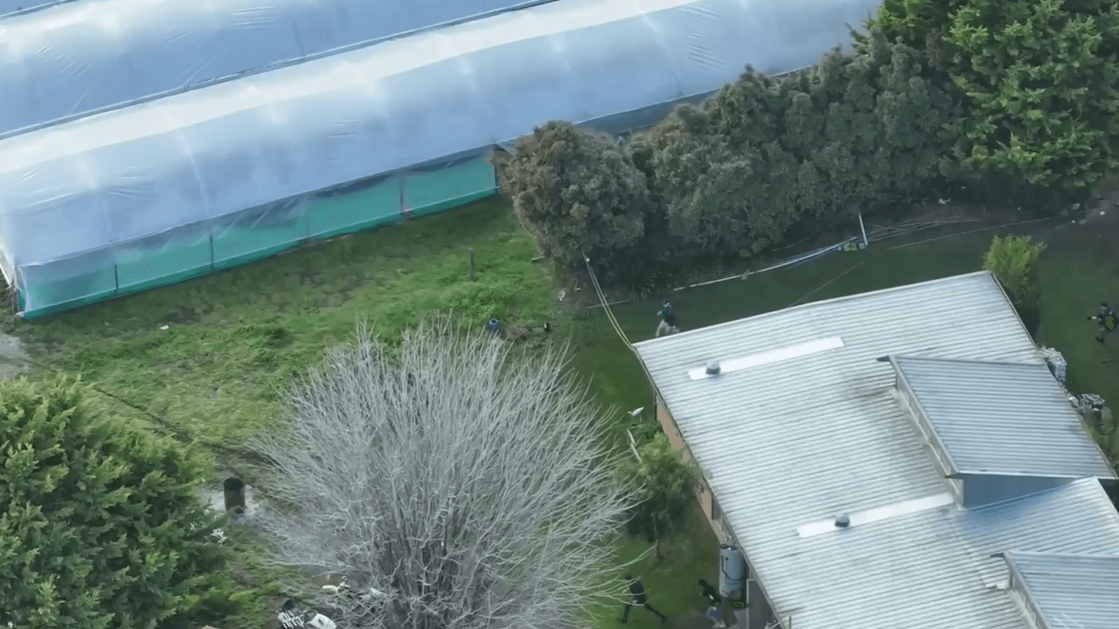 کشف مزرعه بزرگ ماری‌جوانا در ملبورن با دستگیری ۸ نفر