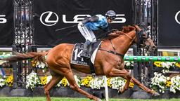 جیمی مِلهِم تاریخ‌ساز شد، پیروزی بانوی سوارکار در جام ملبورن ۲۰۲۵