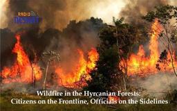 آتش‌سوزی گسترده در جنگل‌های هیرکانی؛ مردم در میدان، مسئولان در حاشیه