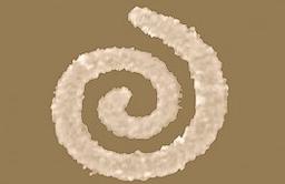 وقتی فناوری جعل و تقلب را صفر می‌کند